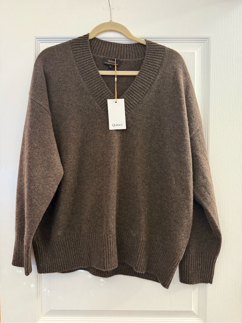Quince Mongolian Cashmere Oversized V-Neck Sweater New with Tags